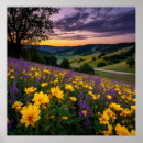 Search for meadows posters Sunrise