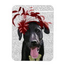 Search for fascination magnets Flowers