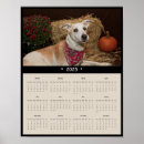 Search for pets calendars posters Animal