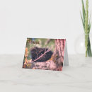 Search for hedgehog thank you cards Animal