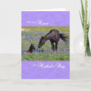 Search for horse mothers day cards Flowers