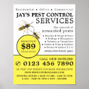 Search for wasp Pest control