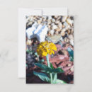 Search for flower seed cards Nature