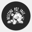Search for funny pitbull stickers Dog
