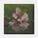 Search for pink background magnets Floral