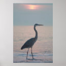 Search for beachcombing posters Ocean