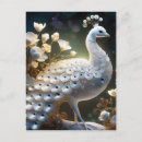 Search for blue peacock bird postcards Beautiful
