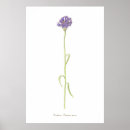 Search for cornflower blue posters Elegant