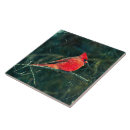 Search for cardinal tiles Songbird