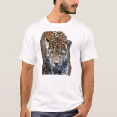 Search for tiger mens tshirts Lions