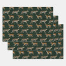 Search for leopard wrapping paper Panther