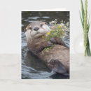 Search for funny otter birthday cards Cute