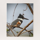 Search for kingfisher puzzles Wildlife