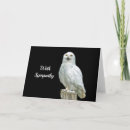 Search for owl photo cards Bird