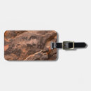 Search for environment luggage tags Arid