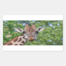 Search for brown eye stickers Portrait