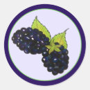 Search for blackberries stickers Purple