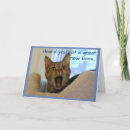 Search for cat retirement Pets