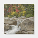 Search for cascade magnets Autumn