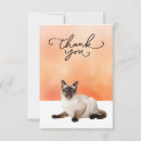 Search for siamese cards Cat