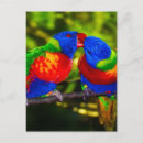 Search for romance love postcards Colourful