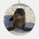 Search for baby seal christmas tree decorations Sea lion
