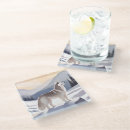 Search for husky dog coasters Snow