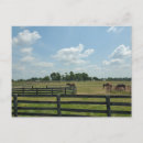 Search for lexington kentucky postcards Horse