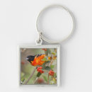 Search for migrate key rings Colour