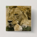 Search for down badges Animal