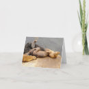 Search for at sea note cards Baby