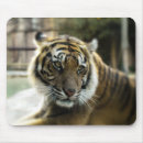 Search for big picture mousepads Wild animals