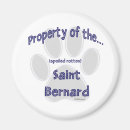 Search for st bernard magnets Saint