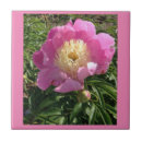 Search for garden wall tiles Home