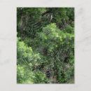 Search for dew drops postcards Water