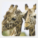 Search for body part stickers Wildlife