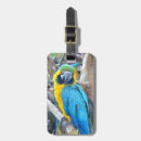 Search for ara accessories Colourful