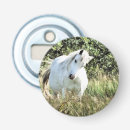 Search for dapple Mare