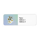 Search for white daisy return address labels Bloom
