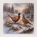 Search for pheasant puzzles Nature