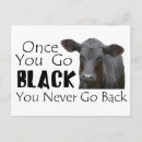 Search for angus postcards Cattle