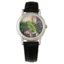 Search for conures accessories Parrot
