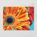 Search for burst postcards Botanical