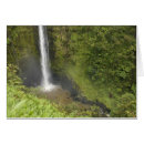 Search for akaka falls Green