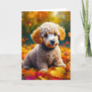 Search for apricot cards Cute
