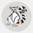 Search for lemur stickers Animal