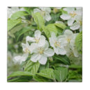 Search for apple tree tiles Green