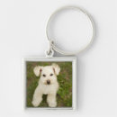 Search for looking out key rings Animal