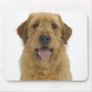 Search for panting electronics Dog