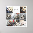 Search for pet collage canvas prints Cat
